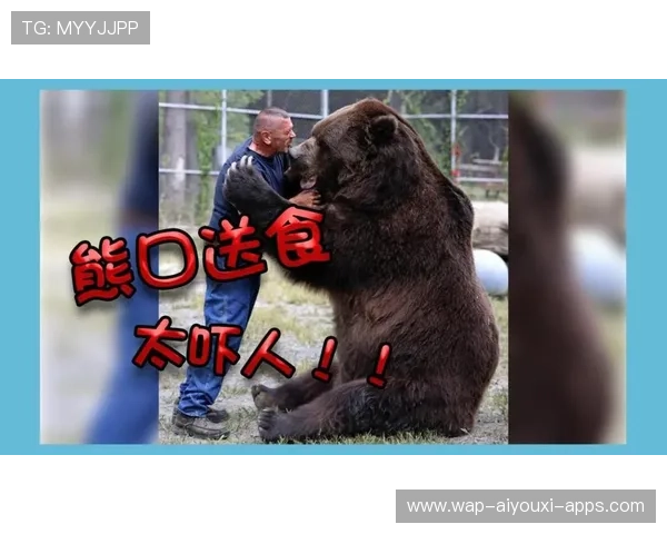 黑熊伤人悲剧是否可以避免？，黑熊攻击人怎么办